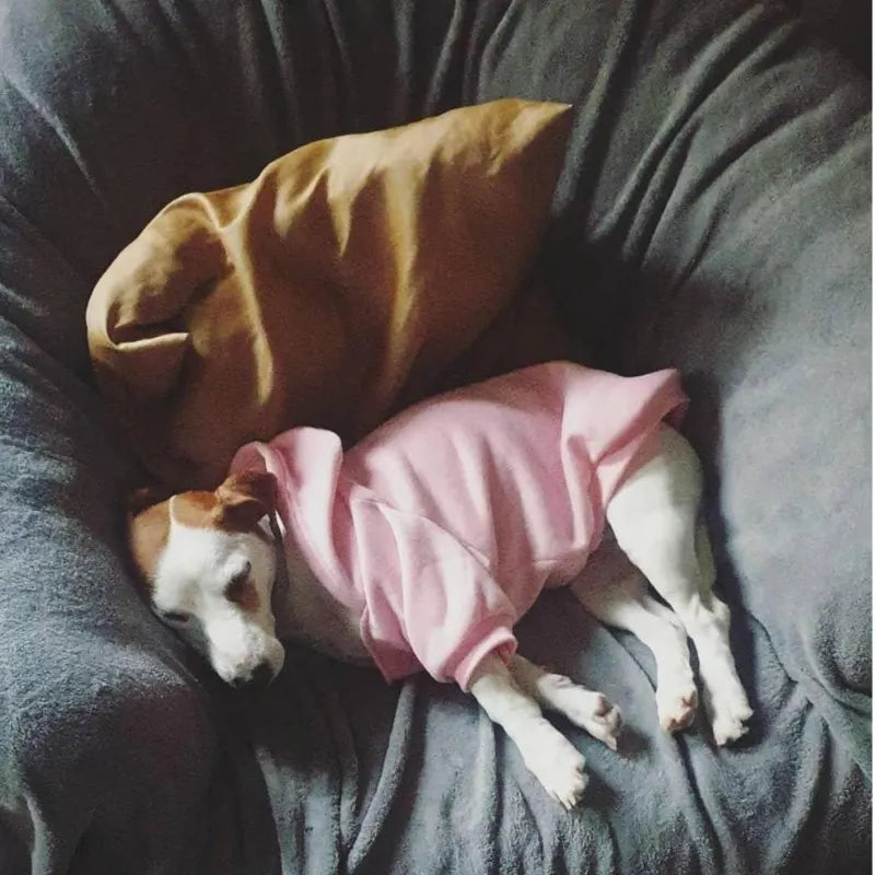 The Dog Face Dog Hoodie